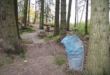 La _Mountainbike-Strecke - Cordula Gr&ouml;ne