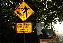 Warnhinweis zu Quallen - Carola Frentzen/dpa