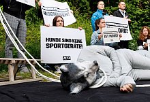 Beginn Prozess wegen toter Schlittenhunde - Julian Rettig/dpa