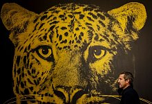Filmfestival von Locarno - Jean-Christophe Bott/KEYSTONE/dpa