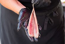 Frische Matjesfilets - Foto: Mohssen Assanimoghaddam/dpa/dpa-tmn