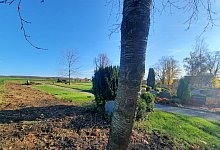 Friedhof - Michaela Wei&szlig;e