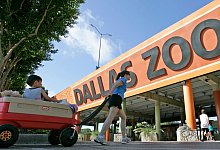 R&auml;tselhafte Vorf&auml;lle im Zoo von Dallas - Steve Helber/AP/dpa