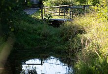 Leiche in Koffer am Stadtrand von Filderstadt gefunden - Markus Lenhardt/dpa