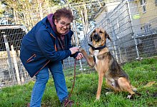 Gabriele Votsmeier hofft, f&uuml;r den st&uuml;rmischen Junghund Simba schnell ein geeignetes Zuhause zu finden. - Sara Mattana