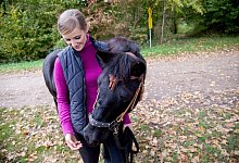 Leckerli f&uuml;rs Pferd - Foto: Christin Klose/dpa-tmn