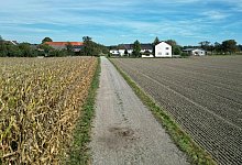 Joggerin von Hund totgebissen - Fotokerschi.At/Taras Panchuk/APA/dpa