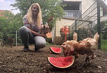 Petra St&uuml;ker Rettet das Hihn - Sven Kienscherf