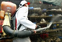 Krankheiten - Foto: Chang Feng/FEATURECHINA/epa/dpa