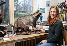 Mit Pr&auml;zision und Idealismus: Was macht eine Pr&auml;paratorin? - Benjamin Nolte/dpa-tmn/dpa