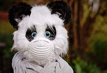 Teddy mit Maske - Symbolfoto: Pixabay