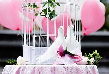 Weiße Tauben für Hochzeit - Rolf Vennenbernd/dpa/dpa-tmn