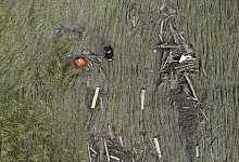 Hochwasserlage in Baden-Württemberg - Marijan Murat/dpa