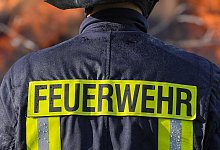 Feuerwehr-Kraft - Patrick Pleul/dpa-Zentralbild/dpa/Symbolbild