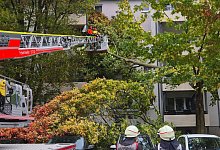 Sturm fällt Bäume und beeinträchtigt Bahnverkehr in NRW - Sascha Thelen/dpa