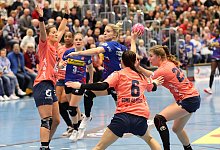 Alexia Hauf - Paul Cohen