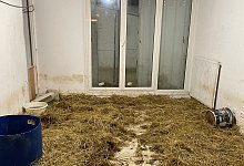 Sozialwohnung in Nizza - C&ocirc;te dAzur Habitat/dpa