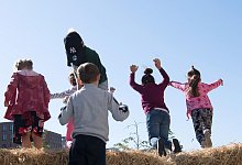 Kinder h&uuml;pfen im Heu am Weltkindertag - J&ouml;rg Carstensen/dpa/dpa-tmn