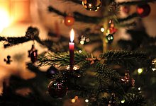 Weihnachtsbaum - Karl-Josef Hildenbrand/dpa/Symbolbild