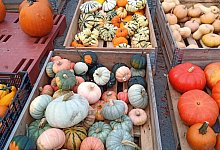 K&uuml;rbiszauber - Oliver Siekmann