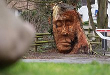 Etwa zweieinhalb Meter ist die Baumskulptur hoch. - Niklas Tüns