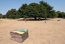 Im Londoner Hyde Park ist der Rasen vertrocknet. - Sebastian Gollnow/dpa