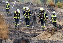 Waldbrand in Thüringen - Saalfelder Höhe - Michael Reichel/dpa