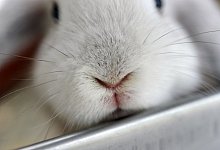 Eine Frage der Gr&ouml;&szlig;e - Foto: Emily Wabitsch/dpa-tmn