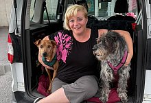 Hundesuche Daniela Teschner - 3 - Bildrechte: Daniela Teschner