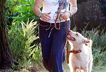 Eine Frau geht mit einem Hund spazieren - Monique W&uuml;stenhagen/dpa-tmn