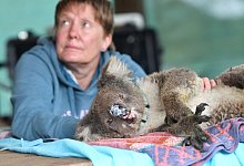 Verbrannt - Foto: David Mariuz/AAP/dpa