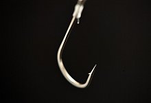 Phishing-Alarm - Foto: Andrea Warnecke