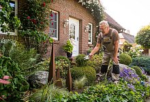 Ein Mann steht im Garten - Benjamin Nolte/dpa-tmn/dpa