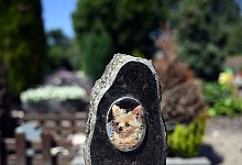 Tierfriedhof - Soeren Stache/dpa