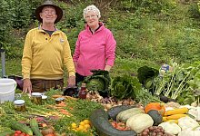 bild_solawi-so-funktionierts_ackerbildung-ev - 1 - SoLaWi