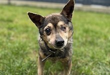 56b3d744-4b07-42e6-a28c-b7c0c15d030b - 1 - Stiftung Sentana