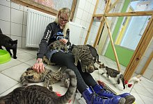 Freddy van der Hoeven - Vera Gerstendorf-Welle