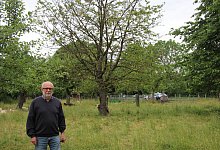 Streuobstwiese Schloss Brake - Katrin Kantelberg(LZ)