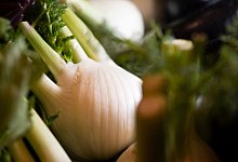 Eine Fenchelknolle - Franziska Gabbert/dpa-tmn