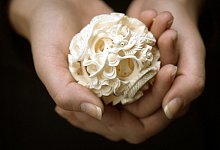 "Tierische Souvenirs" sind oft illegal - Foto: Boris Roessler