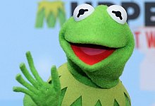 Kermit der Frosch - Foto: Stephanie Pilick/dpa