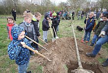 Nachwuchs-G&auml;rtner: Der zehnj&auml;hrige Ben-Silas Westheider (links) und andere Kinder greifen zu kleinen Spaten, um einen von 39 Apfelb&auml;umen auf der Ausgleichsfl&auml;che in Bavenhausen zu pflanzen. - Jens Rademacher