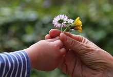 Zum Muttertag - picture alliance/Karl-Josef Hildenbrand/dp