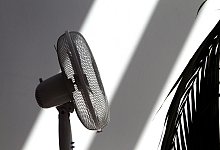 Ventilatoren sorgen an heißen Tagen für eine kühle Brise. - Karl-Josef Hildenbrand/dpa/dpa-tmn