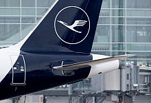 Lufthansa-Jet steht in München am Boden. - Sven Hoppe/dpa