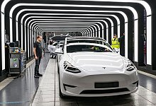 Tesla Gigafactory Berlin-Brandenburg - Patrick Pleul/dpa