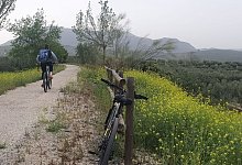 Auf einem Fahrradweg entlang der V&iacute;a Verde - Alexandra Frank/dpa-tmn