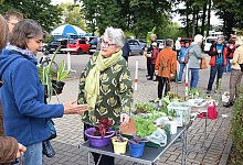 kap-oh-pflanzentauschboerse-11 - kprignitz
