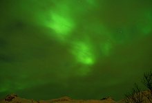 Das Gr&uuml;ne Polarlichter (Aurora borealis) kann man auf einer Schiffsreise zwischen Bergen in Norwegen sehen. - Andrea Warnecke/dpa-tmn