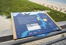 Sylter &laquo;Walpfad&raquo; - Foto: Kundy/LKN.SH